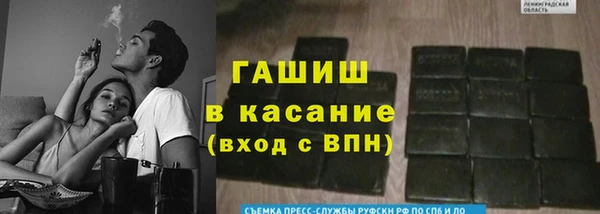 прущие грибы Верхний Тагил